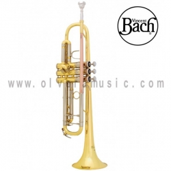 Bach Mod.BTR201/TR500 Trompeta (Estudiante)