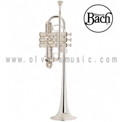 Bach 189 "Stradivarius" de Armonía y Especialidad Trompeta Profesional